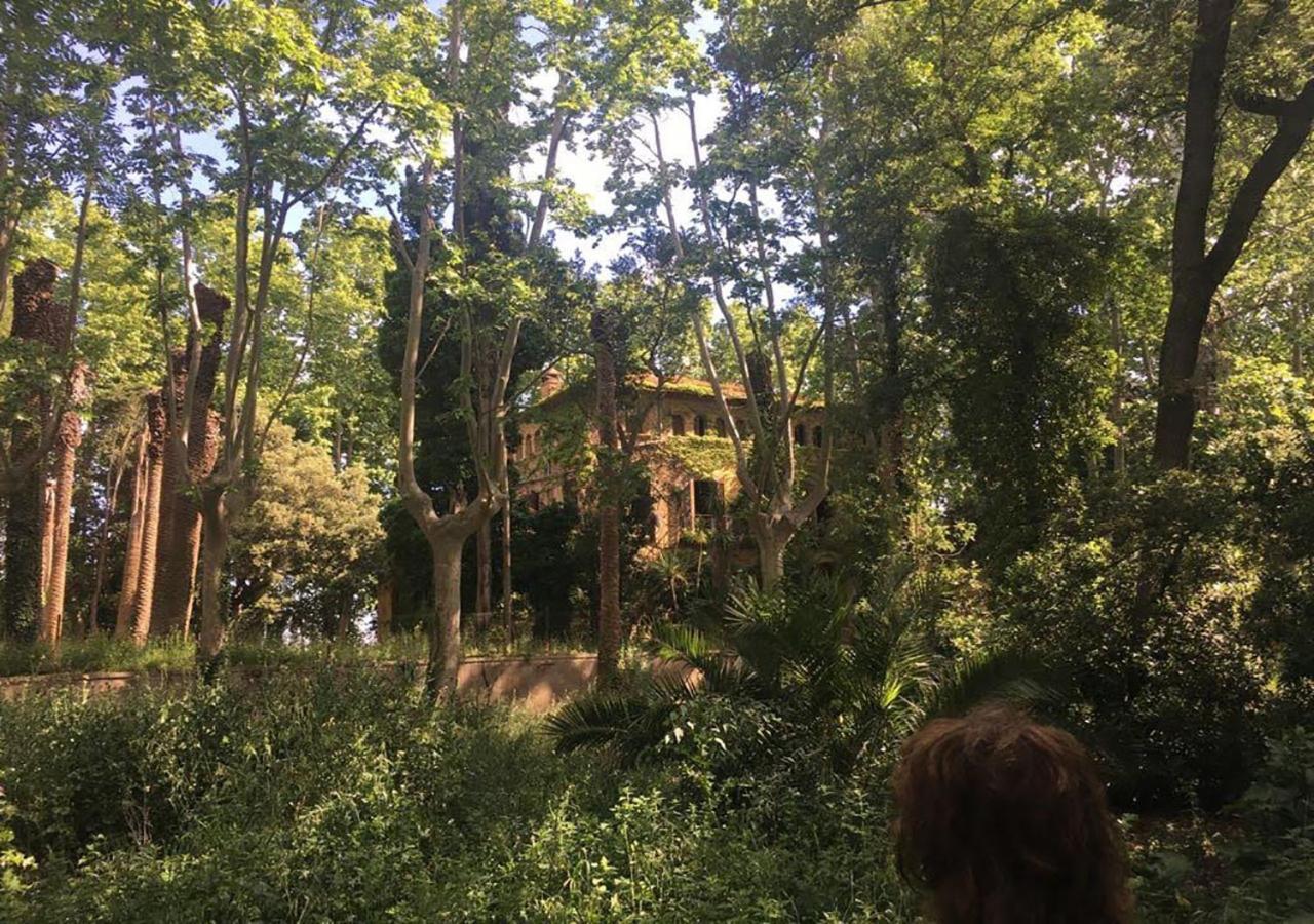 Can Codol De Fluvia - Casita Torroella de Fluvià Exterior foto